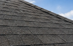 Shingle Roof Coatings